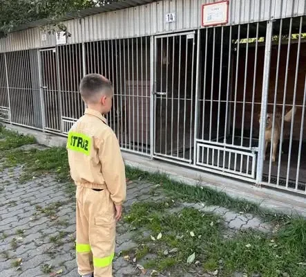 Strażacy z OSP Osiecznica odwiedzili schronisko w Dłużynie Górnej