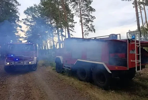 Pożar lasu w okolicach Gromadki – akcja strażaków zakończona sukcesem