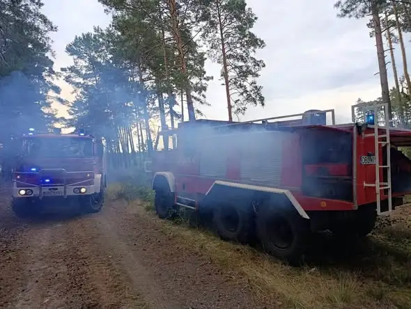 Pożar lasu w okolicach Gromadki – akcja strażaków zakończona sukcesem