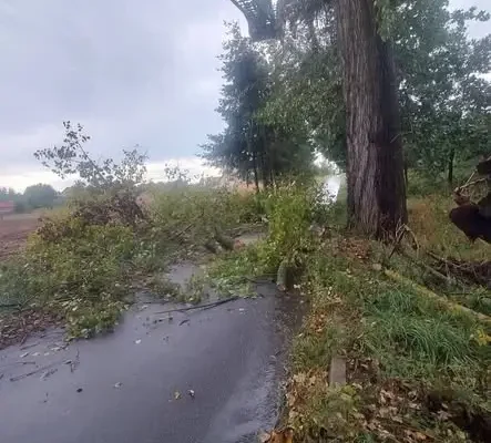 Wiatrołomy w gminie. Strażacy interweniowali cztery razy jednego dnia