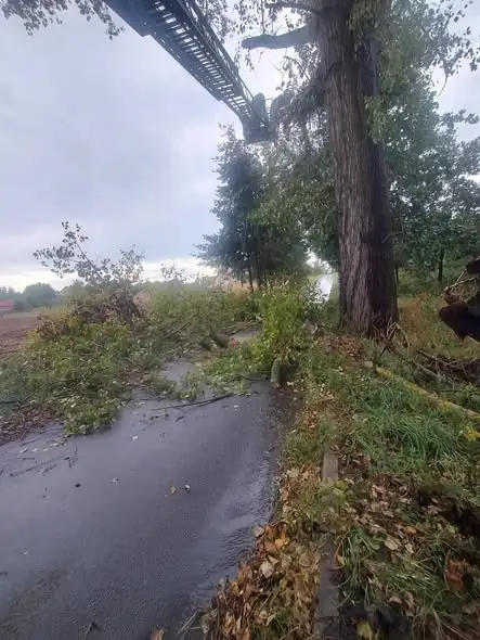 Wiatrołomy w gminie. Strażacy interweniowali cztery razy jednego dnia